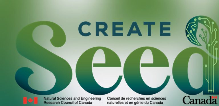 Created Seed organize 4 days of summer courses